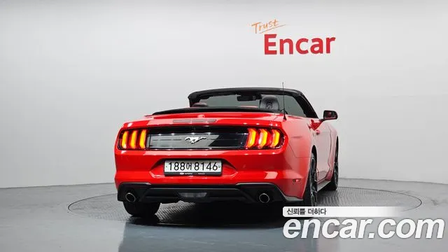 Ford Mustang Mustang Кабриолет — Фото автомобиля 4