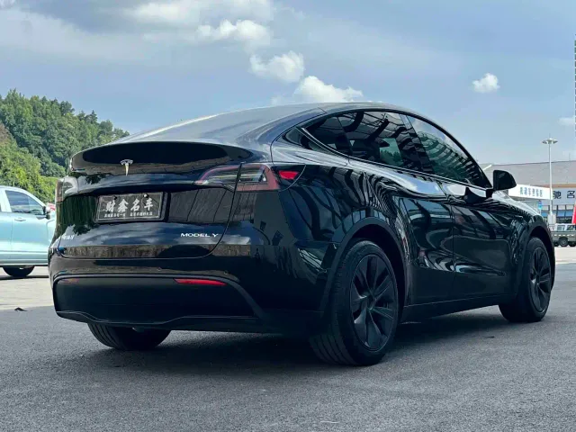 Tesla Model Y — Фото автомобиля 9