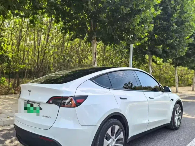 Tesla Model Y — Фото автомобиля 4