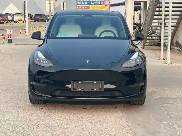 Tesla Model Y — Фото автомобиля 2