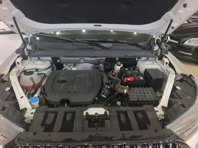 Chery Tiggo 7 PLUS — Фото автомобиля 16