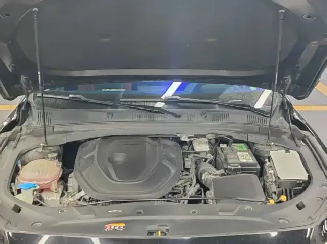 Geely Xing Rui 2021 Facelift 2.0TD Premium Model — Фото автомобиля 9
