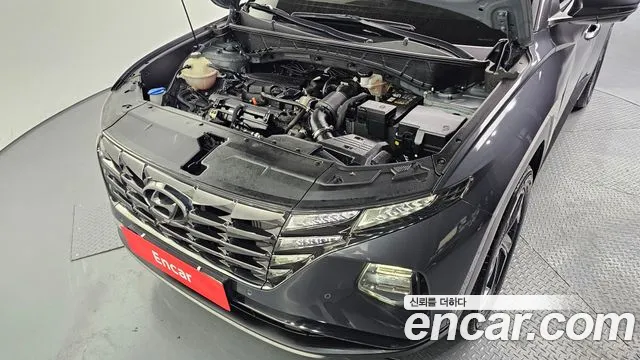 Hyundai Tucson Tucson (NX4) Бензин 1.6 турбо 2WD — Фото автомобиля 6
