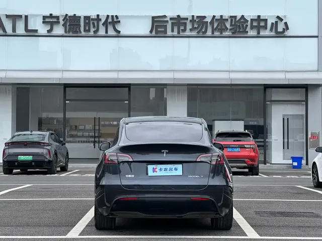 Tesla Model Y — Фото автомобиля 3