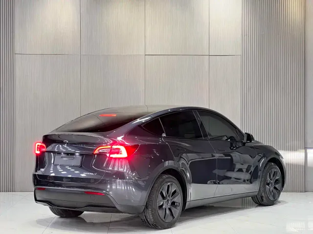 Tesla Model Y — Фото автомобиля 10