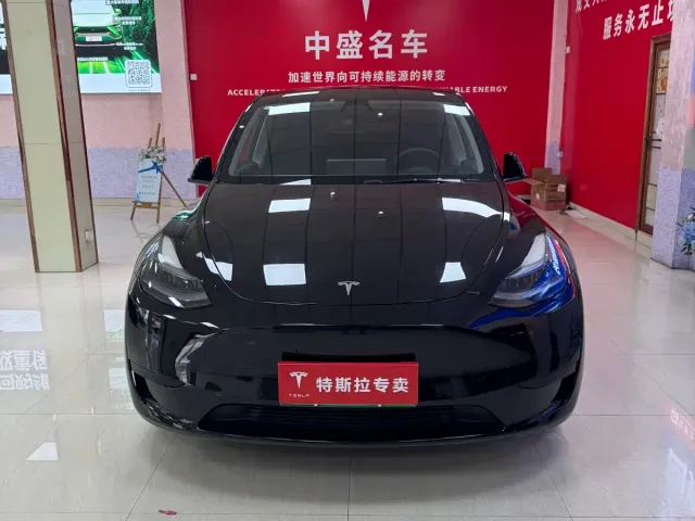 Tesla Model Y — Фото автомобиля 2