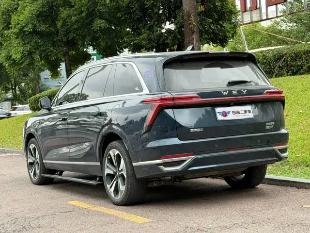 Wey Lanshan — Фото автомобиля 4