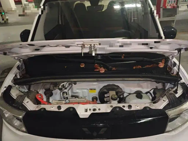 Wuling Hongguang Mini EV — Фото автомобиля 16