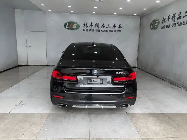 BMW 5 Series — Фото автомобиля 6