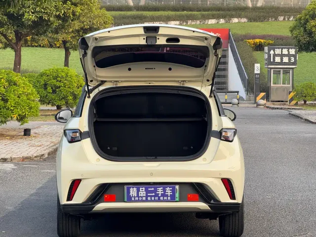 BYD Dolphin — Фото автомобиля 20