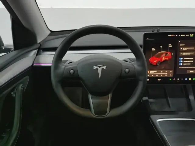 Tesla Model Y — Фото автомобиля 11