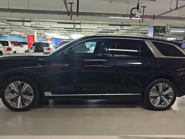 Hongqi E-HS9 — Фото автомобиля 2