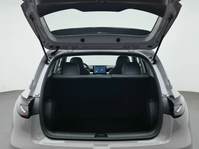 Geely Starry Wish — Фото автомобиля 16
