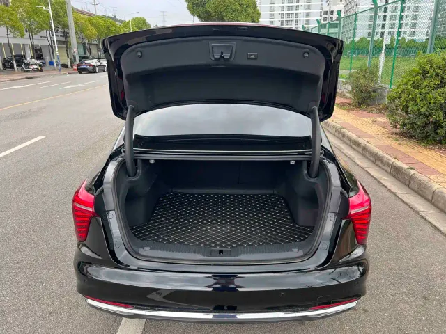 Hongqi H5 — Фото автомобиля 9