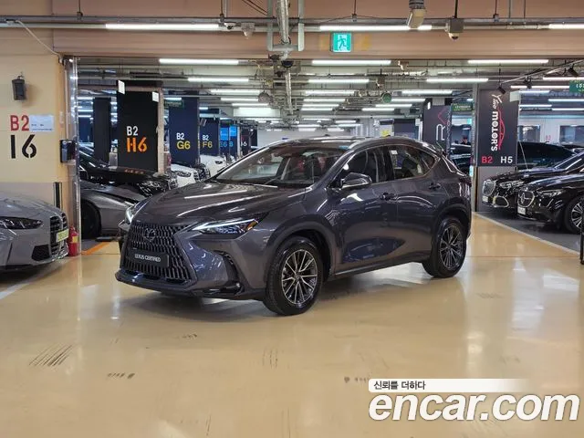 Фотография автомобиля — Lexus NX NX450h+ 2nd Gen