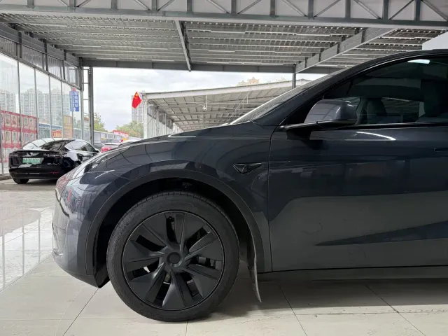 Tesla Model Y — Фото автомобиля 4