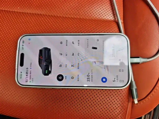 Li Auto L9 — Фото автомобиля 11