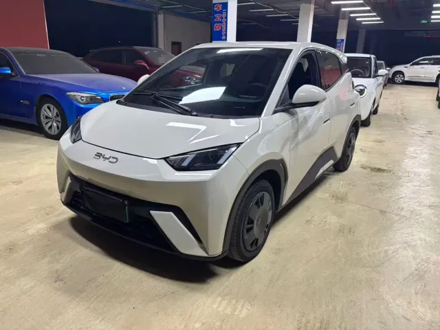 Фотография автомобиля — BYD Seagull