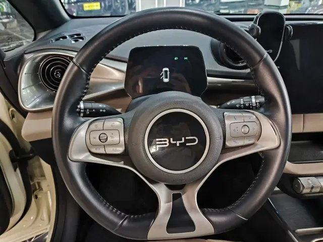 BYD Dolphin — Фото автомобиля 5