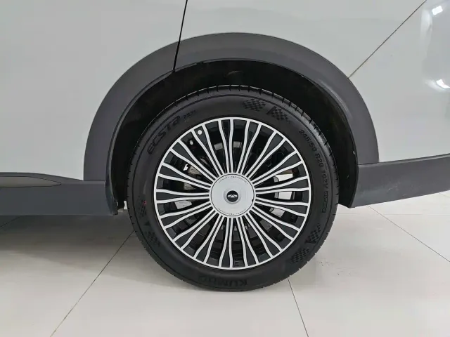 Chery Fulwin T9 — Фото автомобиля 21