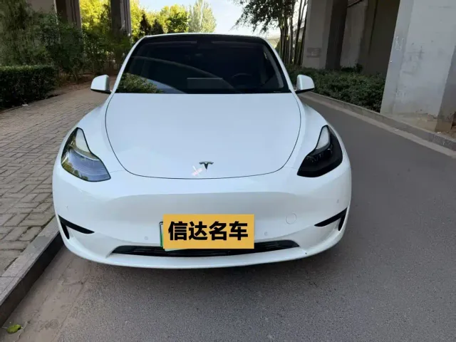 Tesla Model Y — Фото автомобиля 2