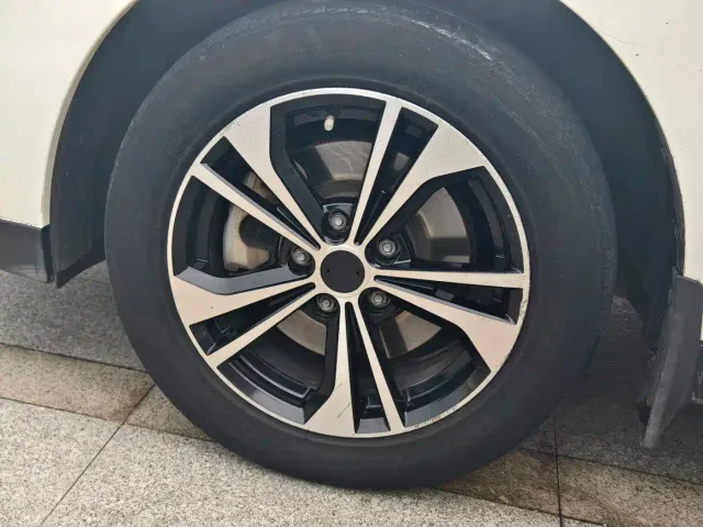 Venucia D60 EV — Фото автомобиля 17