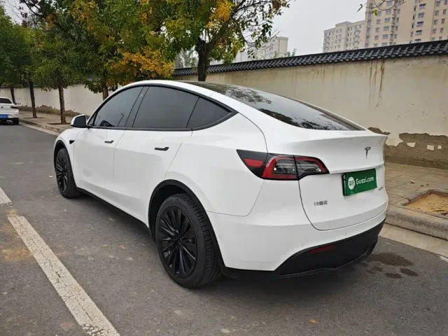 Tesla Model Y — Фото автомобиля 4