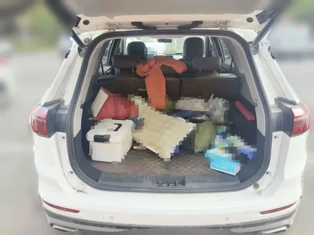 Chery Tiggo 8 PLUS — Фото автомобиля 13