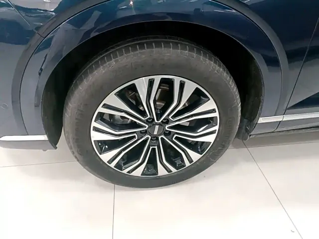 Wey Lanshan — Фото автомобиля 22