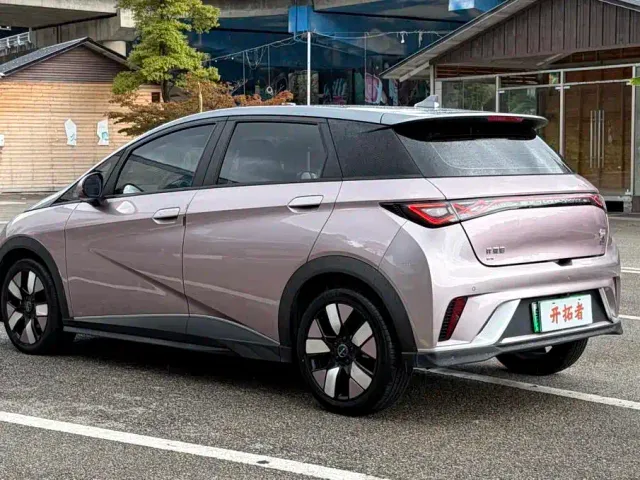 BYD Dolphin 2021 401km Knight Edition — Фото автомобиля 4