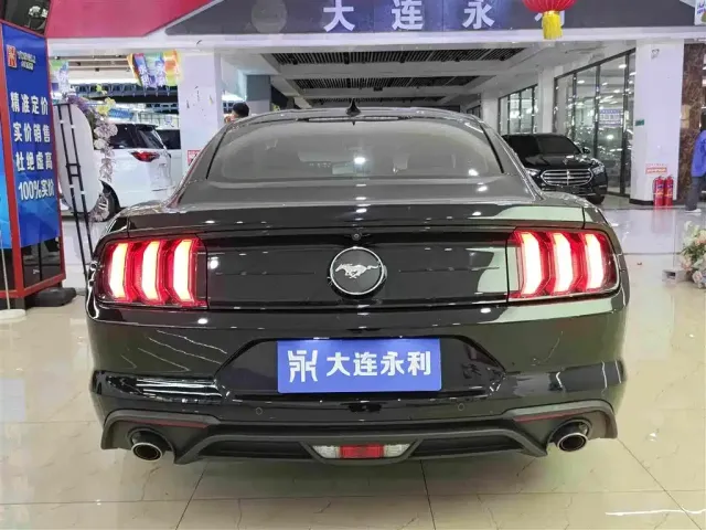 Ford Mustang — Фото автомобиля 13