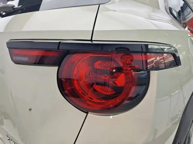 Haval Big Dog — Фото автомобиля 7