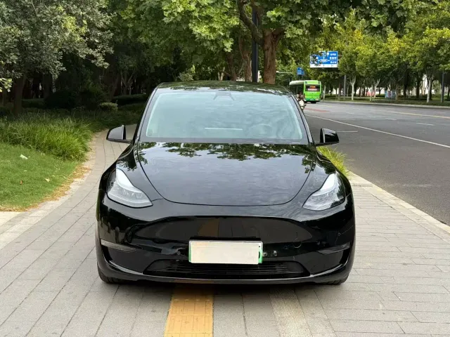 Tesla Model Y — Фото автомобиля 2