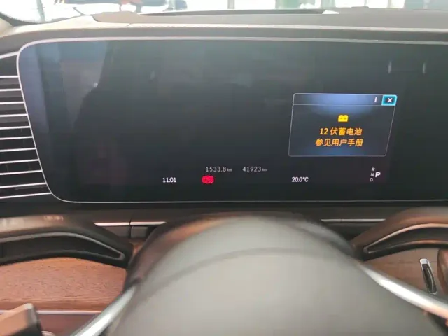 Mercedes-Benz GLS-Class — Фото автомобиля 15