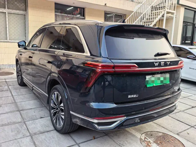 Wey Lanshan — Фото автомобиля 4