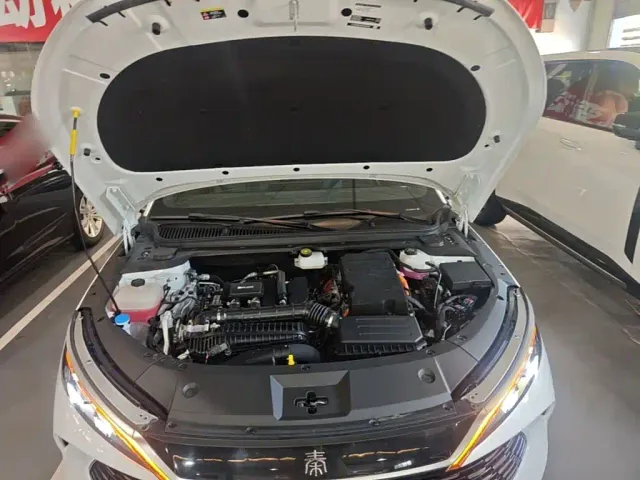 BYD Qin L — Фото автомобиля 19