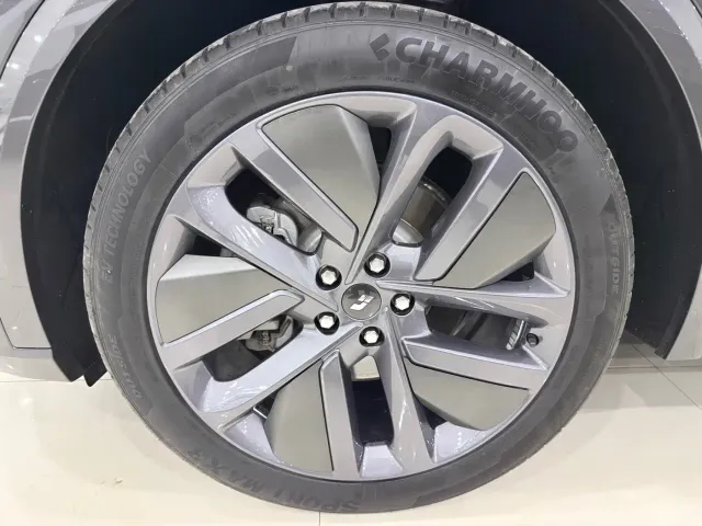 Li Auto L9 — Фото автомобиля 14