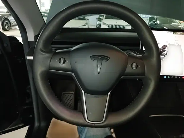 Tesla Model Y — Фото автомобиля 10