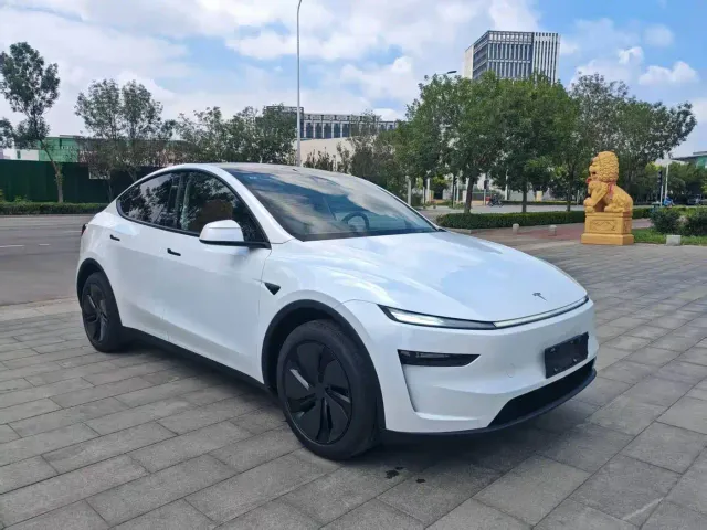 Tesla Model Y — Фото автомобиля 3