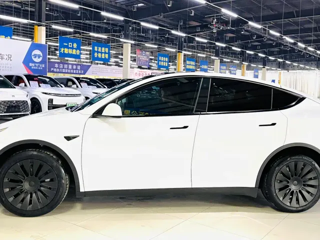 Tesla Model Y — Фото автомобиля 5