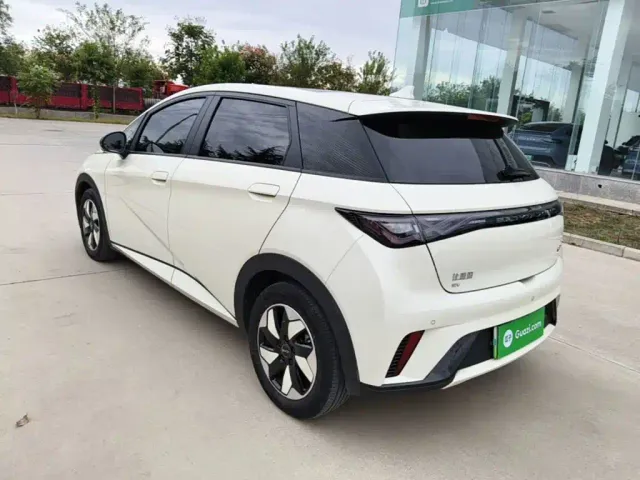 BYD Dolphin — Фото автомобиля 4