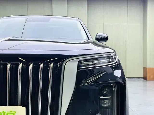 Hongqi E-HS9 — Фото автомобиля 7