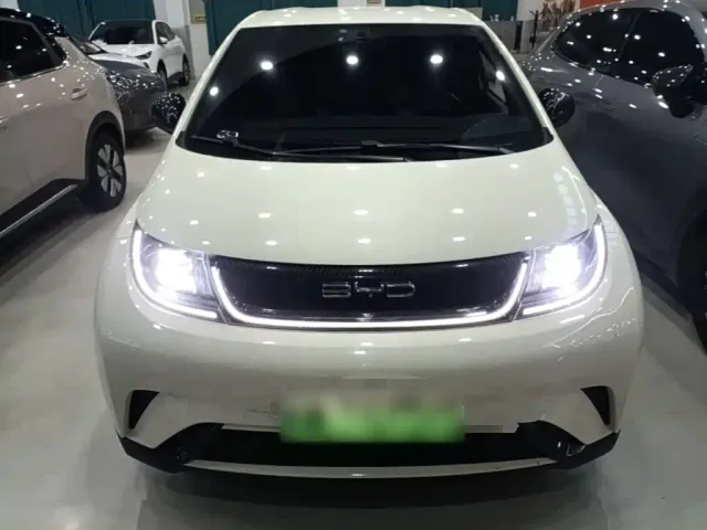 BYD Dolphin — Фото автомобиля 2
