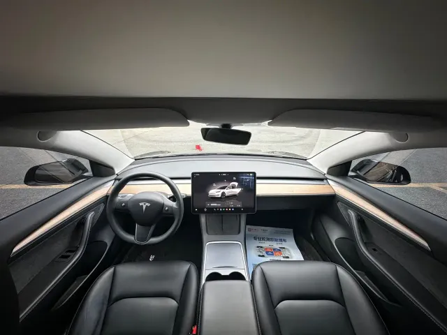 Tesla Model 3 — Фото автомобиля 15