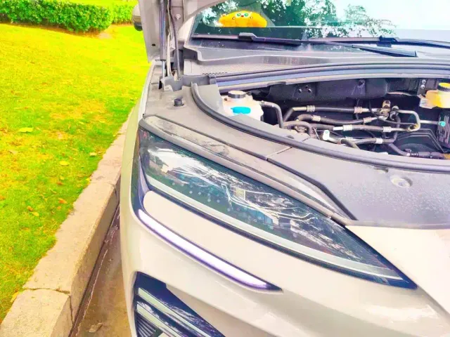 BYD Song PLUS — Фото автомобиля 21