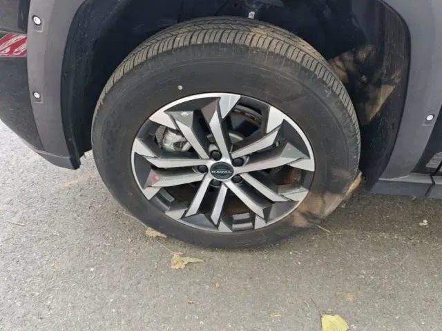 Haval Big Dog — Фото автомобиля 22