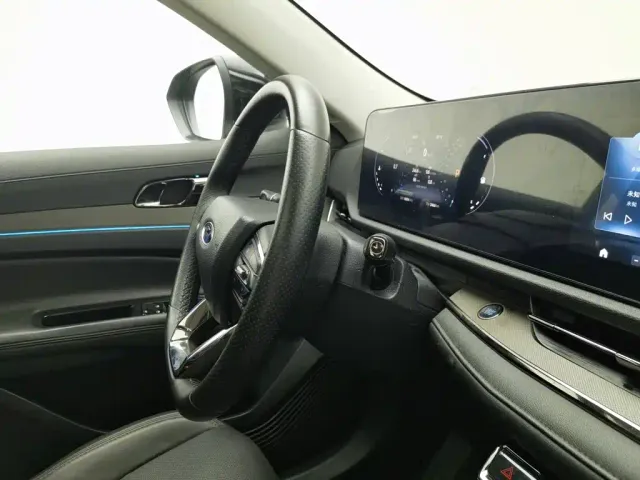 Ford Lingrui — Фото автомобиля 22