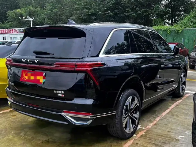 Wey Lanshan — Фото автомобиля 15