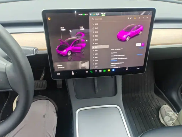 Tesla Model Y — Фото автомобиля 12