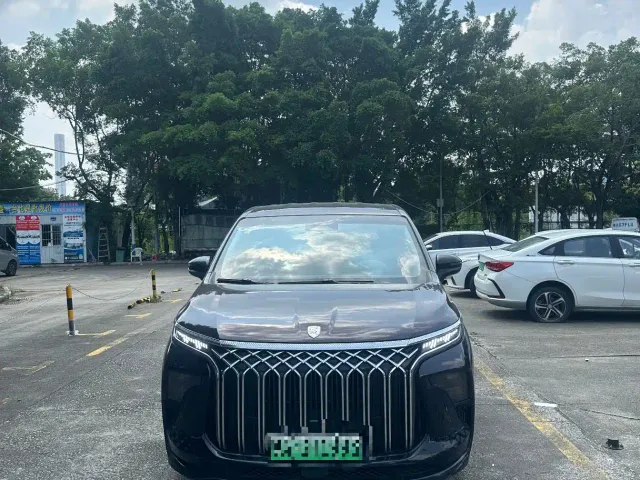 Forthing Xinghai V9 — Фото автомобиля 2